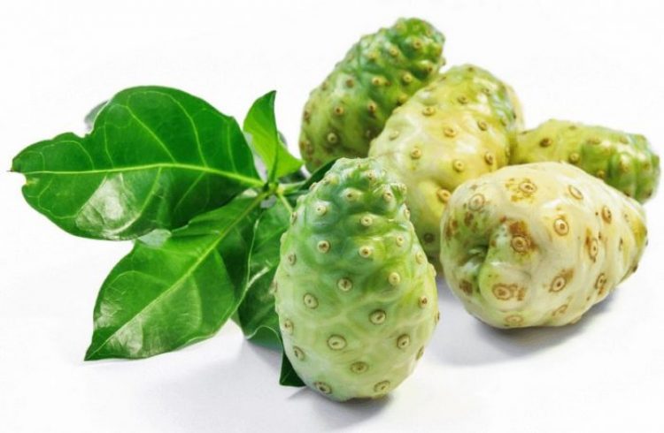 Morinda fruits HPAI INSTANT COFFEE
